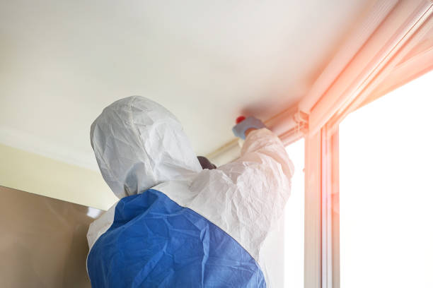 Best Mold Odor Removal Services  in Dock Junction, GA